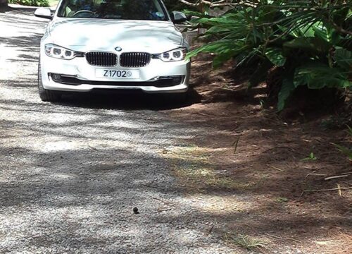 Affordable Car Rental Barbados