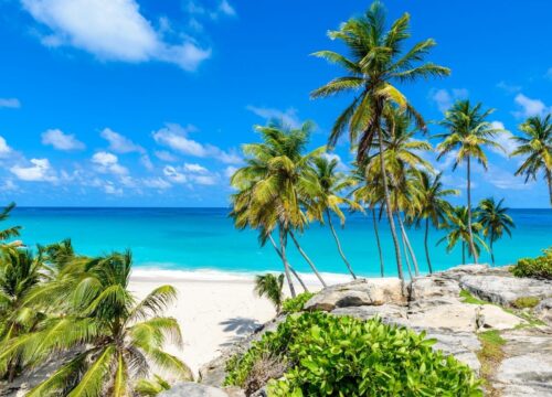 Barbados Car Rental