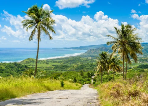 Barbados Transportation Services