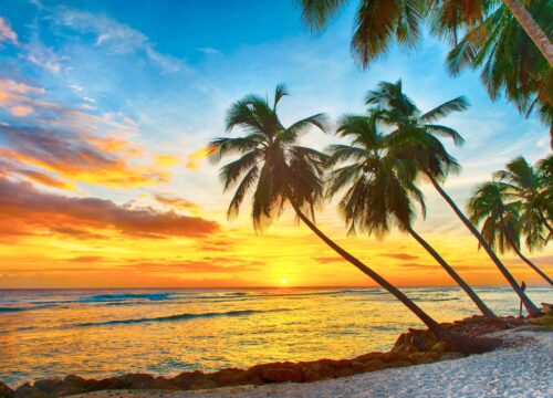 Barbados Private Transfers